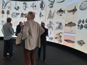 WMM Immersive room