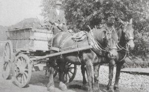 Tibbeham SAH Henry Bussey driving horses
